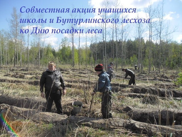 Всероссийский день посадки леса