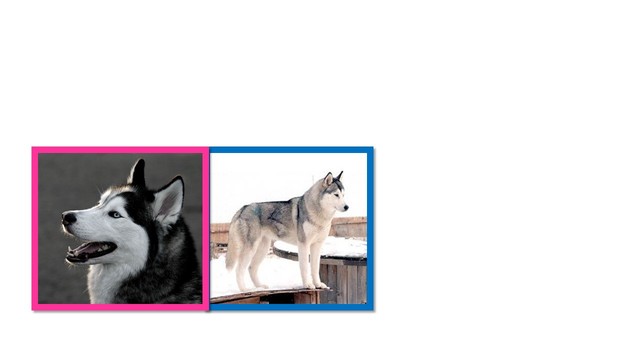 My Childhood Bestfreinds