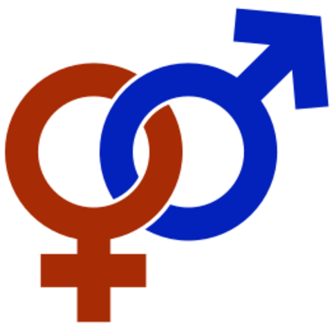 Gender