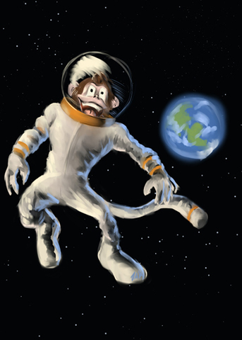 Space Monkey
