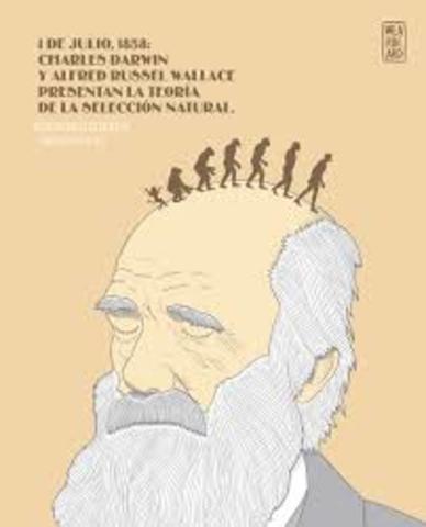 CHARLES DARWIN 1809 - 1882 TEORIA EVOLUCION DE LAS ESPECIES