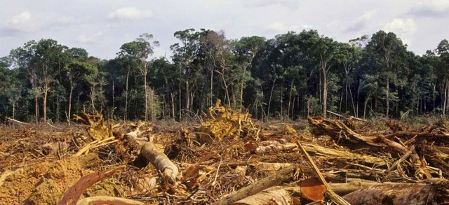 Principios vulnerados de la DSI