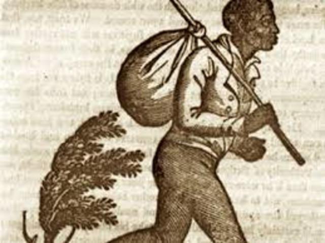 Fugitive Slave Act