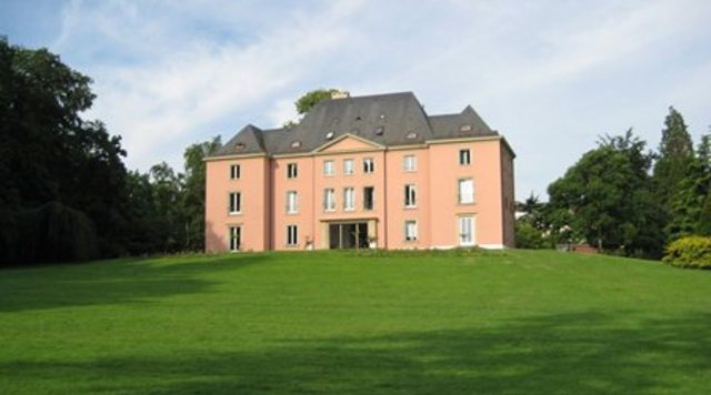 Institut Universitaire des Hautes Etudes Internationales