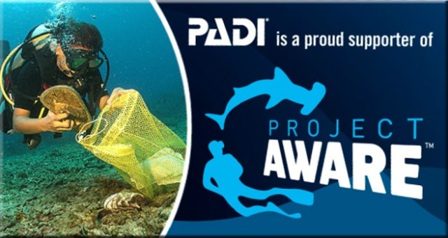 Международный день очистки водоёмов