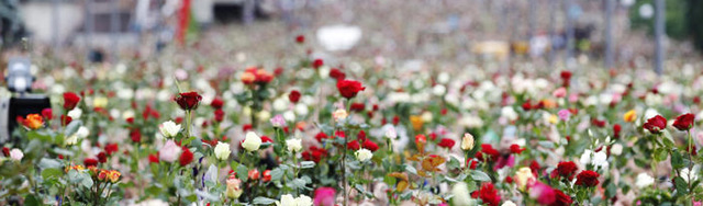 Terroraksjon i Norge. http://www.trondhaukedal.no/la-22-juli-2011-bli-et-vendpunkt/