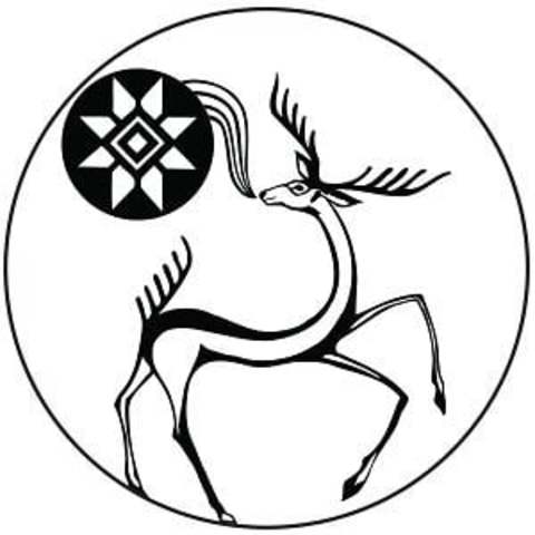 Reflections of a Journey Within