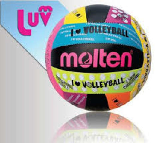 voleibol