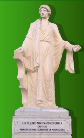 Lucio Junio Moderato Columela