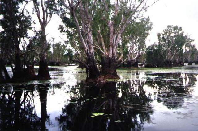Parque Nacional De Kakadu