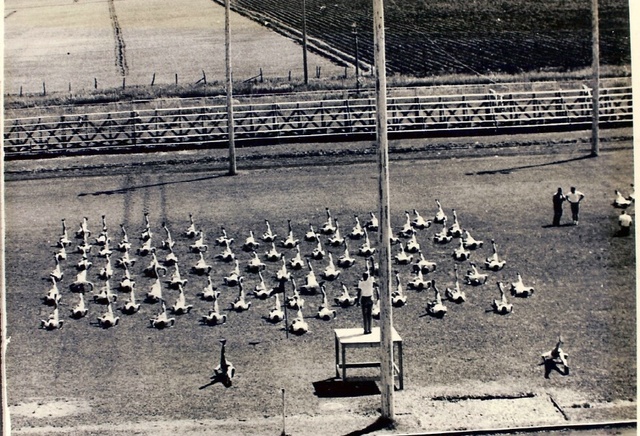 1916 National Defense Act