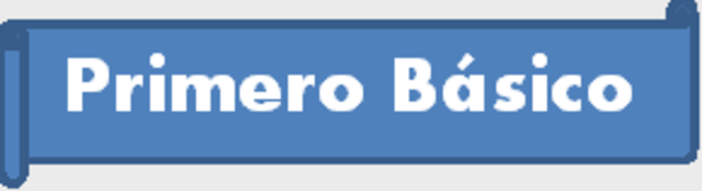 Primer dia en Basicos