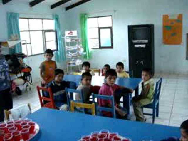 CERDA Y RESOLUCIÓN 2343