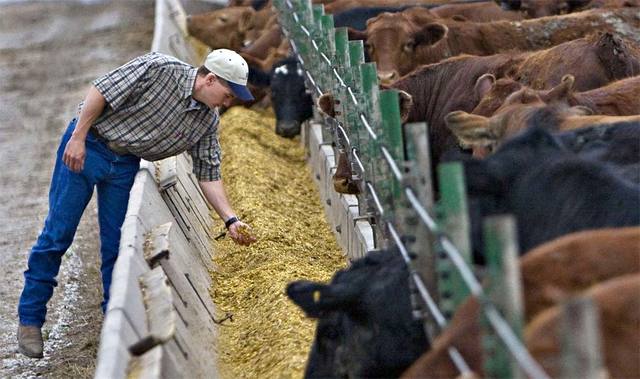 Origen De La Zootecnia