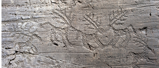 alpes italianos"val camonica"