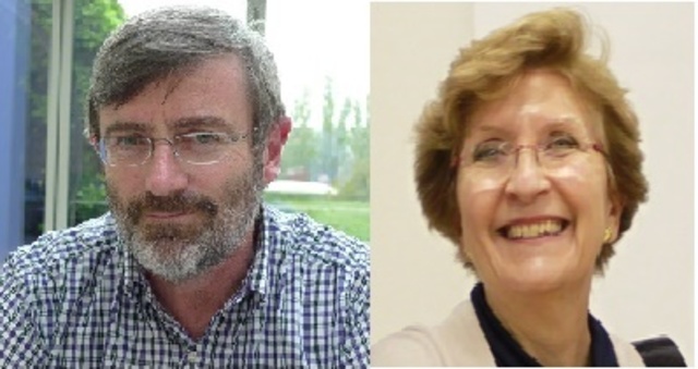 Elena Castro Martinez e Ignacio Fernandez de Lucio (2001)