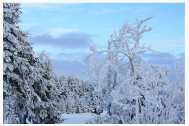 Media and global cooling