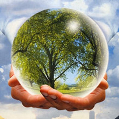 Международный день леса (Команда "Симбиоз" МБОУ СШ №15 г. Арзамас)