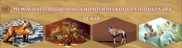 Международный день сохранения биологического разнообразия (флоры и фауны Земли)