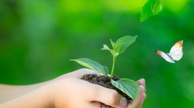 1989 Primer pregrado de Ingeniería Ambiental