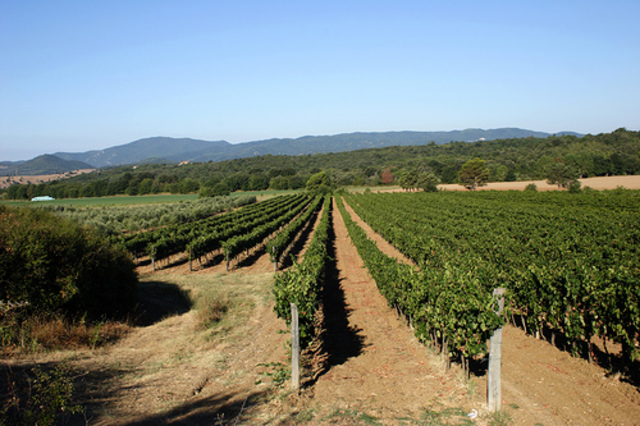 1st  Strand  Agricultural Age