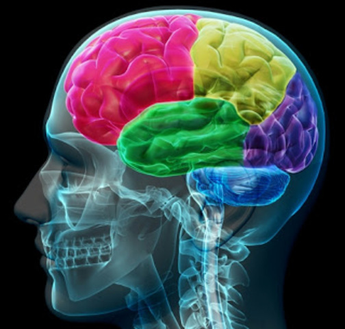 La nanotecnología crea robots para curar el cerebro