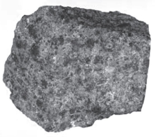 Españoles José Comas y Solá descubren el asteroide