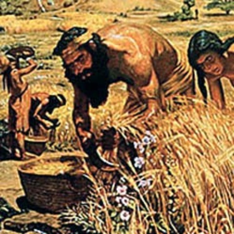 Prehistoria - Agricultura y ganadería