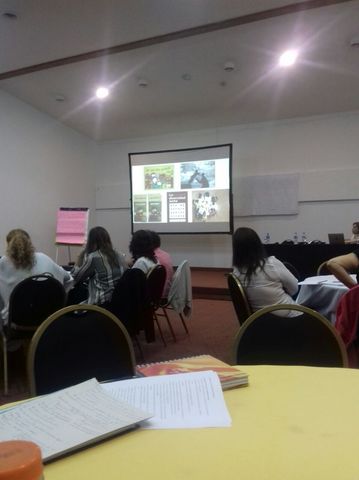 Encuentro 1: Introducción del proyecto y presentación del equipo