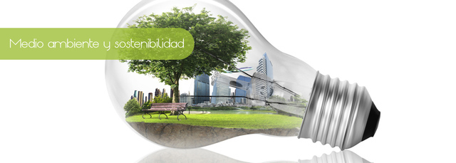 DECENIO DE LA ENERGÍA SOSTENIBLE PARA TODOS 2014 - 2024