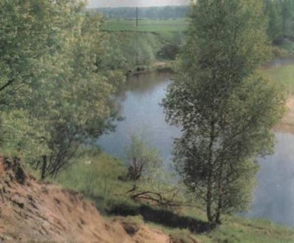 Международный день леса (с 1971г.)