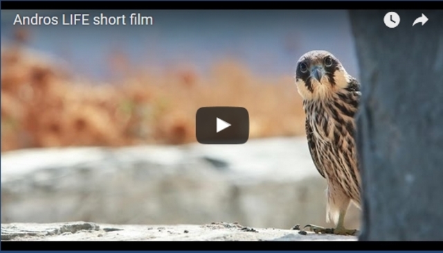 10η συνάντηση περιβαλλοντικής