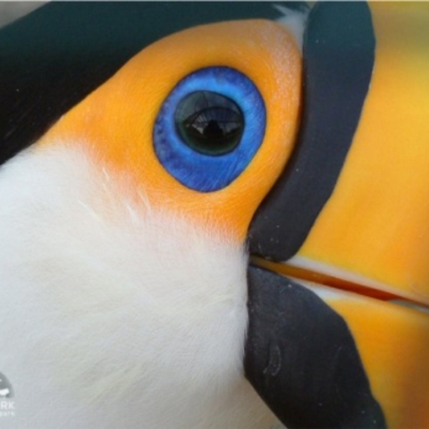 2η Εκπαιδευτική επίσκεψη περιβαλλοντικής: Αττικο ζωολογικό πάρκο