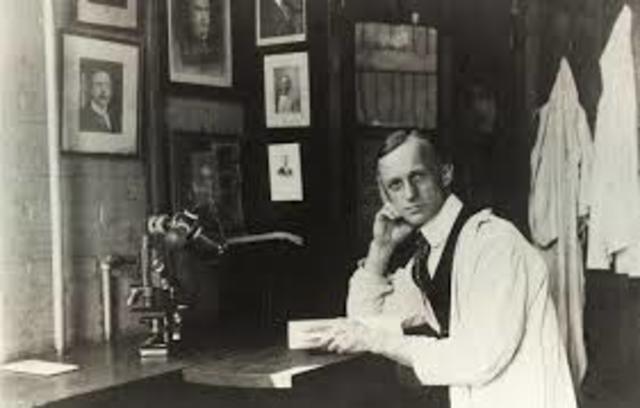 Sociedad de Nanociruganos