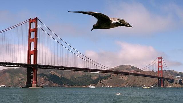 Golden Gate, en San Francisco