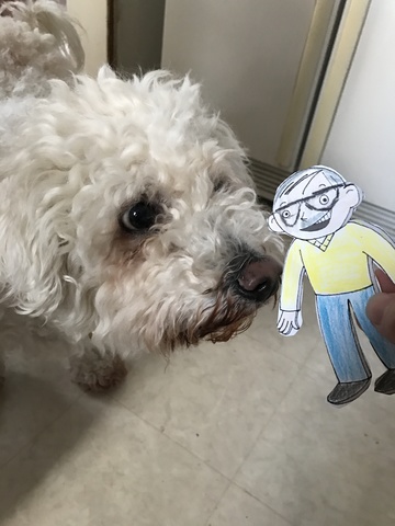 Une petit Assistant?