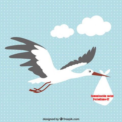 Nacimiento del Programa de Comunicación Social.