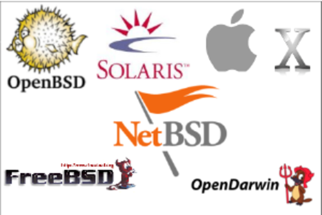 se lanzo BSD