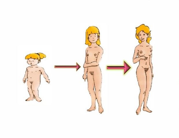 ADOLESCENCIA- PUBERTAD