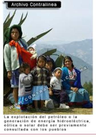 SE RECONOCEN CONSTITUCIONALMENTE LOS DERECHOS DE LOS PUEBLOS INDIGENAS