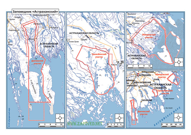 Астраханский заповедник