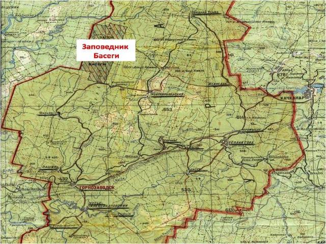 Заповедник Басеги