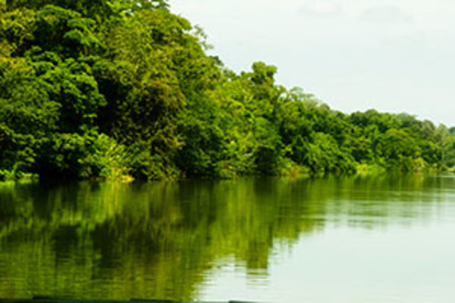 Decreto 2372 de 2010