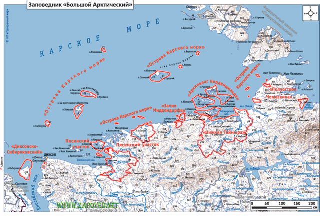 Большой Арктический заповедник
