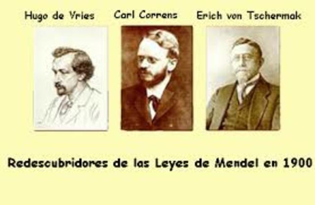 Redescubrimiento de las leyes de Mendel