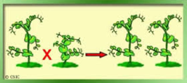 Descubrimiento de las unidades de transmisión genética
