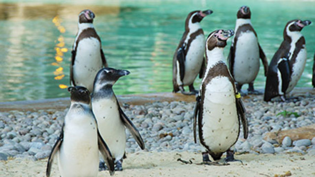 december 16 2007 december 16 2007