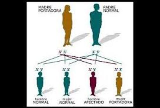 Teoría del cromosoma de la herencia