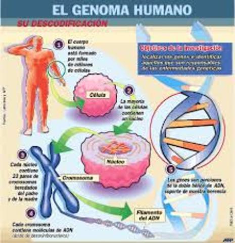 El proyecto del genoma humano.