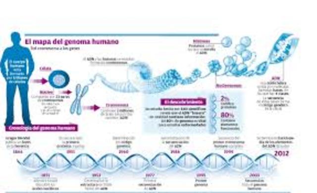 Segunda generación del mapa del genoma humano.